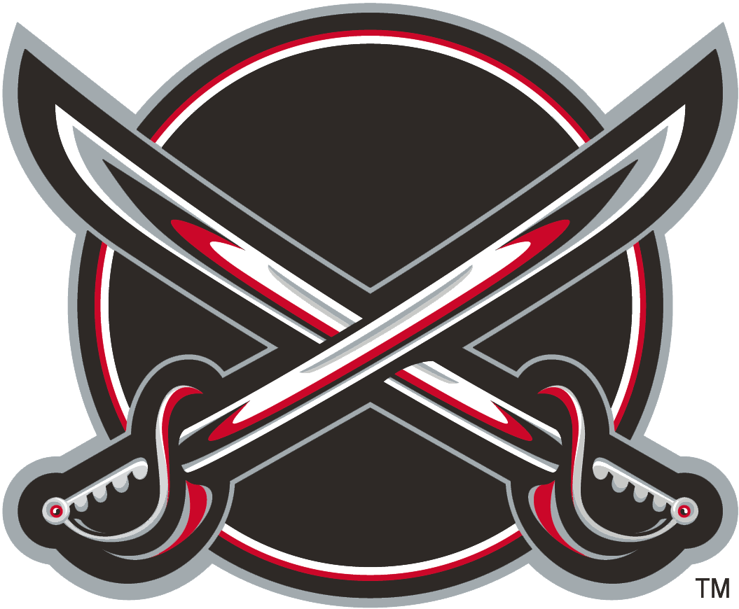 Buffalo Sabres 2000-2006 Alternate Logo iron on transfers for clothing